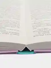 Восхитительная ведьма /Джейн Анна