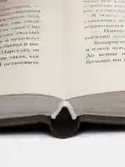 Артур, Луи и Адель /Делон Дана