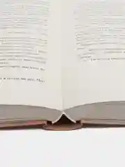 #trendbooks. Падающая звезда /Дана Делон