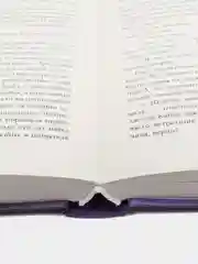 #trendbooks. Тайна черного дракона /Джейн Анна
