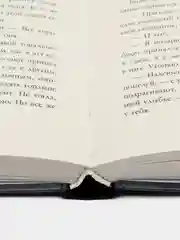 #trendbooks. Будь моим/Дана Делон