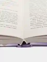#trendbooks. Тайна черного дракона /Джейн Анна