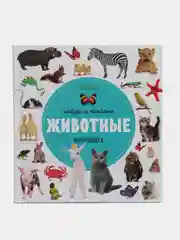 Найди и покажи. Фотокниги. Животные /Коллектив авторов