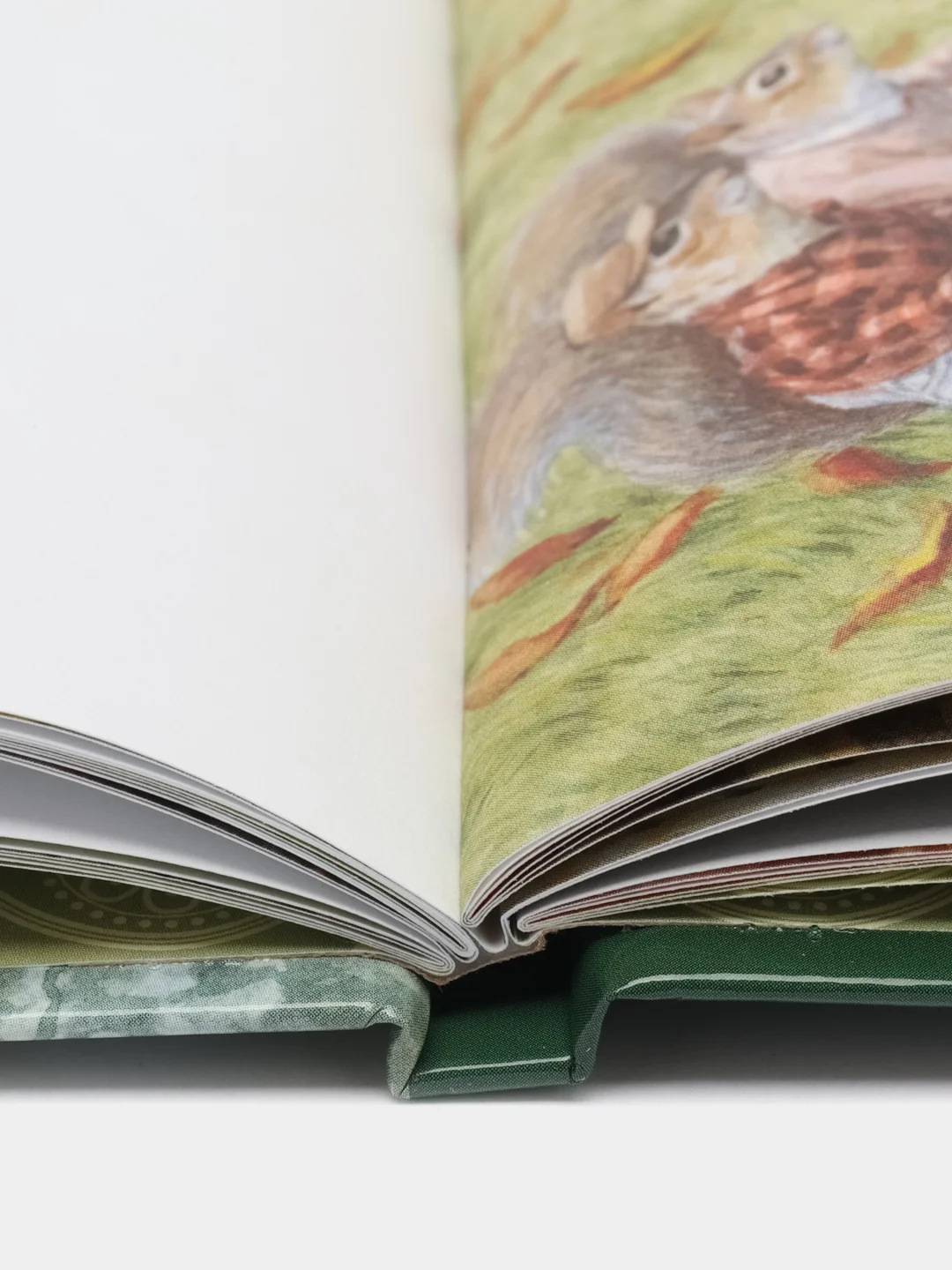 Книжки-картинки. Крошка Венди и дом на дереве /Ричардсон Стив