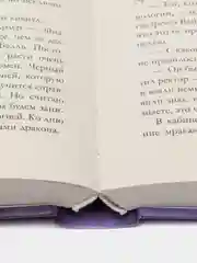 Комплект книг Анны Джейн "Наследница черного дракона", "Тайна черного дракона", Джейн А.