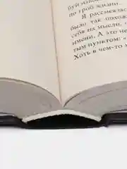 #trendbooks. Парадокс Cевера/Побединская Виктория
