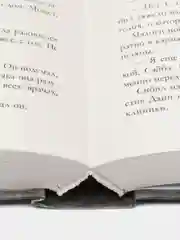 Любимый незнакомец /Хармон Эми