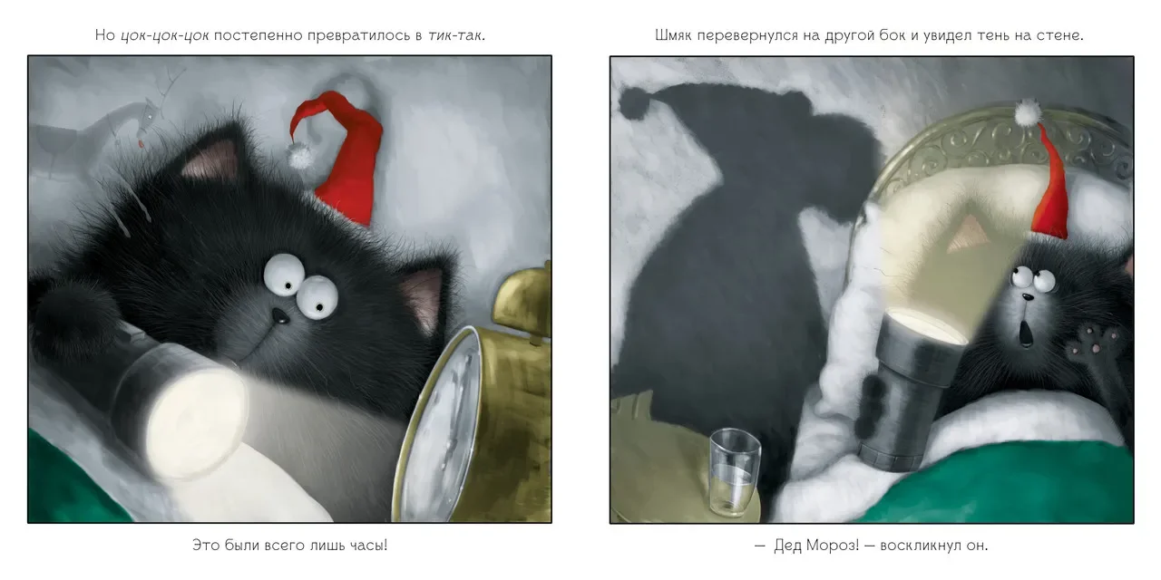 С Новым годом, Шмяк!/Скоттон Роб