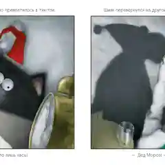 С Новым годом, Шмяк!/Скоттон Роб