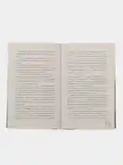 #trendbooks. Разрушенный рыцарь /Янг Милена