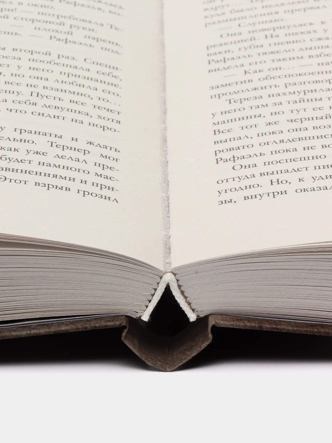#trendbooks. Разрушенный рыцарь /Янг Милена