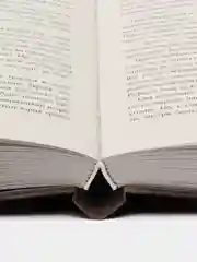 #trendbooks. Разрушенный рыцарь /Янг Милена