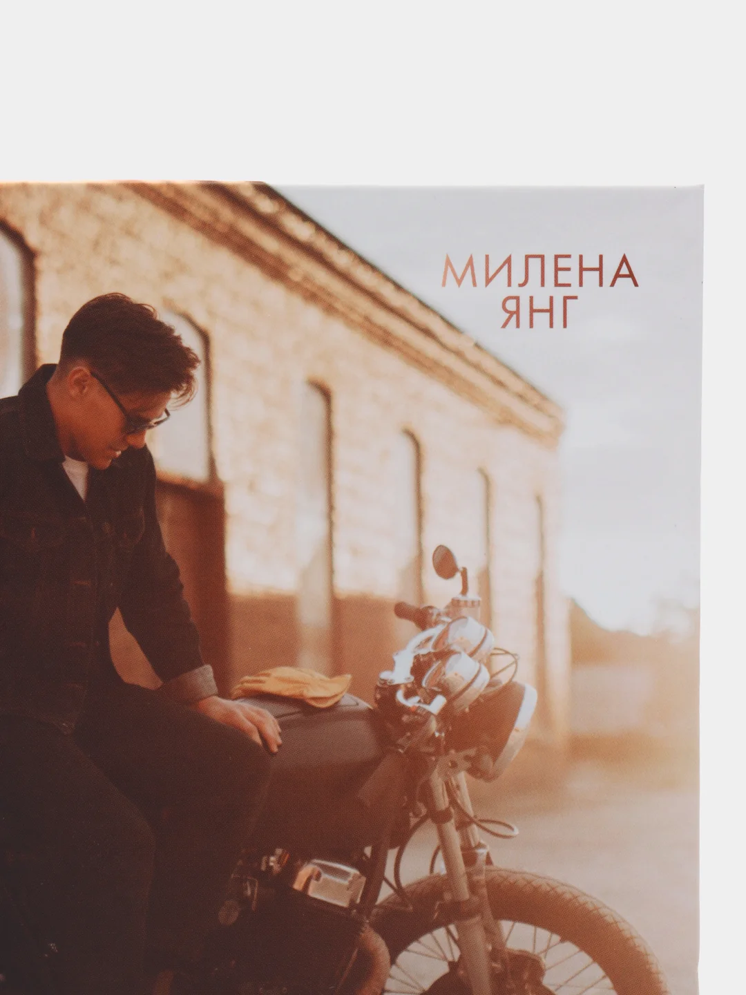 #trendbooks. Разрушенный рыцарь /Янг Милена