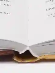 Непрожитая жизнь /Делон Дана
