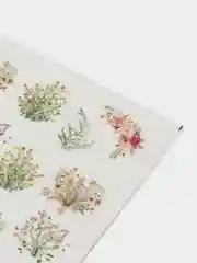 Коралловый меланж наклейки для маникюра/дизайн ногтей/наклейки для ногтей/слайдеры для ногтей
