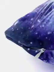 Подушка декоративная CoolPodarok "Звездный тигр"
