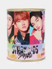 Копилка для денег, монет и купюр "Stray Kids, копим на аксессуар любимой группы"