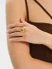 Кольцо из титановой стали