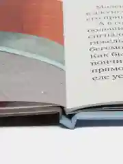 Внимание, дорога! /Ульева Елена