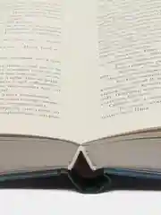 Наследница черного дракона /Джейн Анна