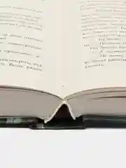 #trendbooks. В ореоле тьмы /Делон Дана