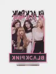 Кораллово-розовый акриловая 2D фигурка, фигурка Blackpink, k-pop (кей-поп)