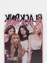 Кораллово-розовый акриловая 2D фигурка, фигурка Blackpink, k-pop (кей-поп)
