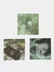 Лесной зеленый наклейки детские 55 шт, стикеры ,наклейки ,наклейки на телефон, наклейки - стикеры