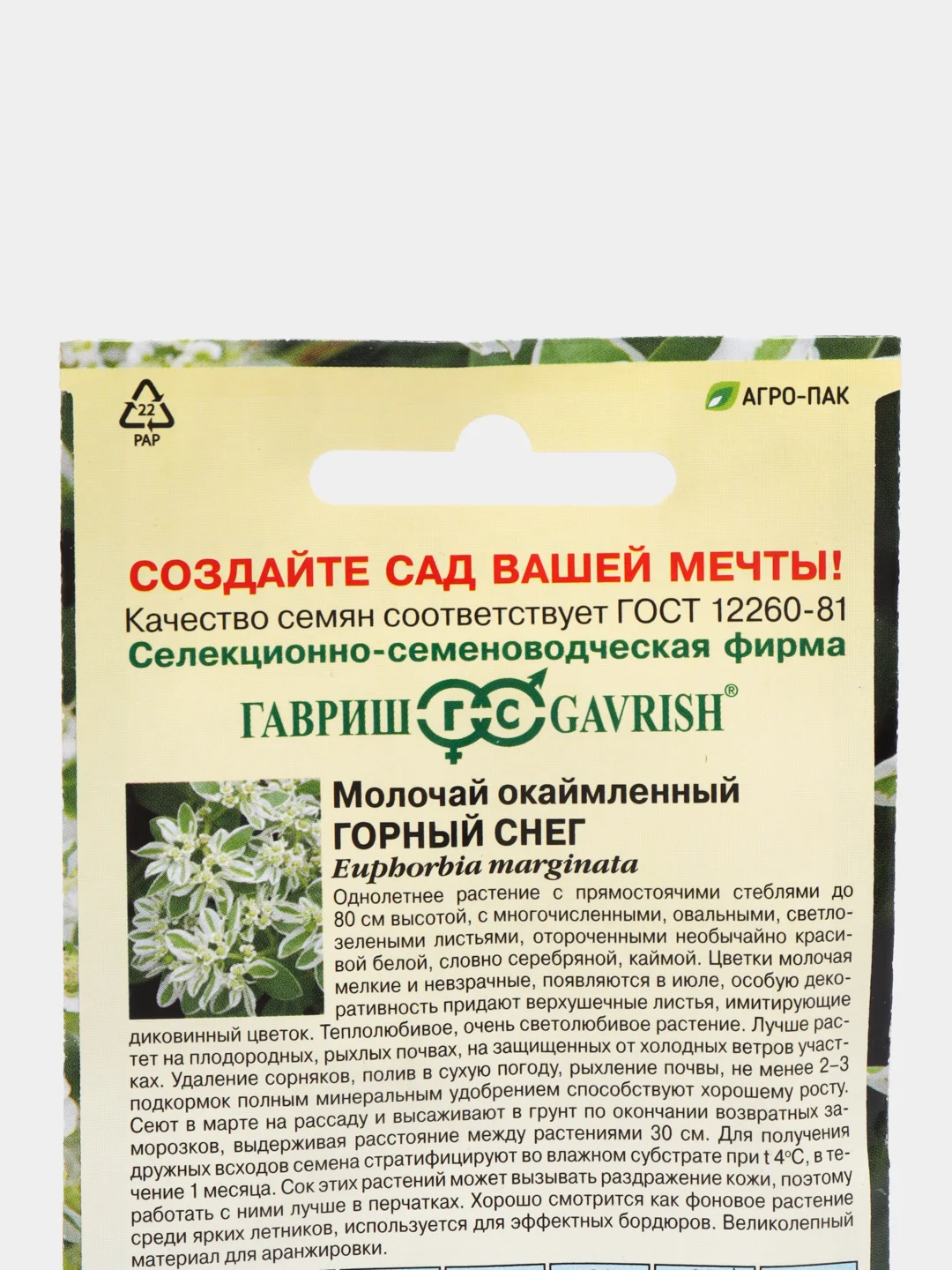 Молочай окаймленный "Горный снег", семена, цветы