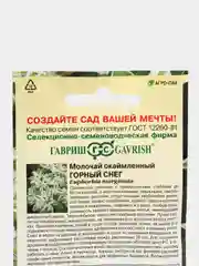 Молочай окаймленный "Горный снег", семена, цветы
