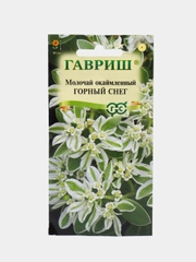 Молочай окаймленный "Горный снег", семена, цветы