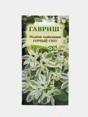 Молочай окаймленный "Горный снег", семена, цветы