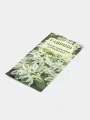 Молочай окаймленный "Горный снег", семена, цветы