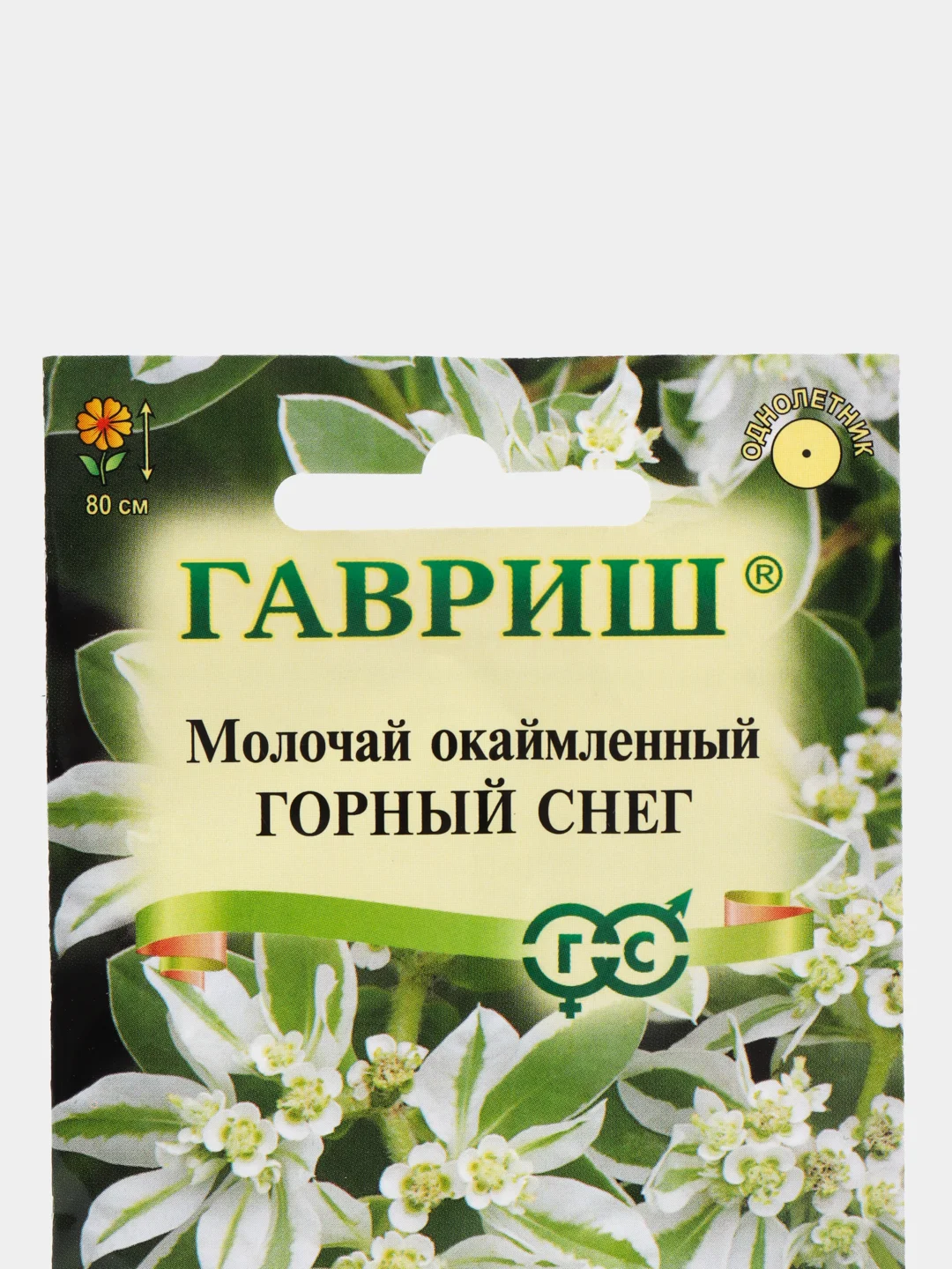 Молочай окаймленный "Горный снег", семена, цветы