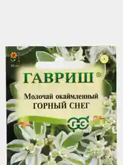 Молочай окаймленный "Горный снег", семена, цветы