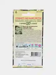 Молочай окаймленный "Горный снег", семена, цветы
