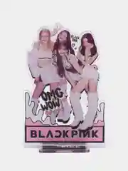 Аметистовый акриловая 2D фигурка, фигурка Blackpink, k-pop (кей-поп)