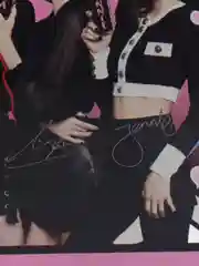 Вишнёвый акриловая 2D фигурка, фигурка Blackpink, k-pop (кей-поп)
