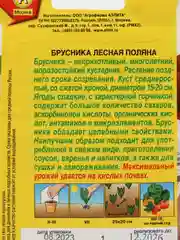 Семена Брусника "Лесная поляна"