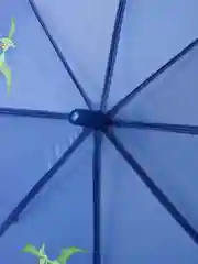 Синий зонт трость детский