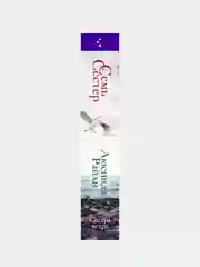 Семь сестер. Сестра ветра, Люсинда Райли