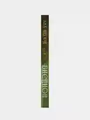 Бисцион. Книга 1, Ана Шерри