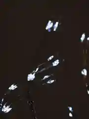Серебряный светодиодный LED светильник в виде дерева, декоративный ночник лампа, светодиодное дерево