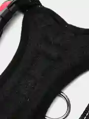 Зеленый шлейка для собак