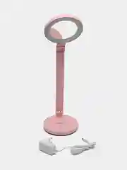 Camelion KD-824  C14 розовый LED (Свет-к,9 Вт,230В, сенс, рег.ярк и цвет.темп.,с зеркалом)