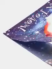 Пакеты новогодние 40 х 30 "Дед Мороз" 3 шт