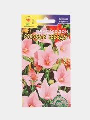 Платикодон Розовые звезды (семена,цветы)