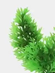 Растение для аквариума Plant 015, роголистник зелёный, высота 10 см