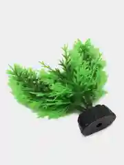 Растение для аквариума Plant 015, роголистник зелёный, высота 10 см