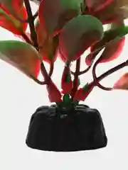 Растение для аквариума Plant 006 Людвигия красная